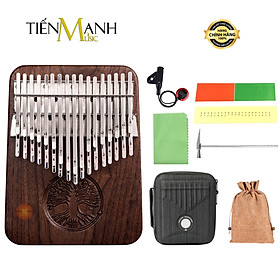 Các loại đàn khác