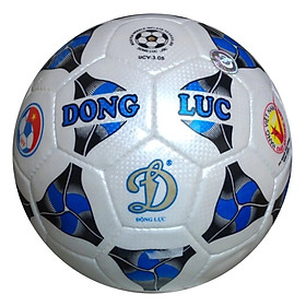 Các môn thể thao đồng đội