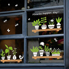 Decal & giấy dán tường